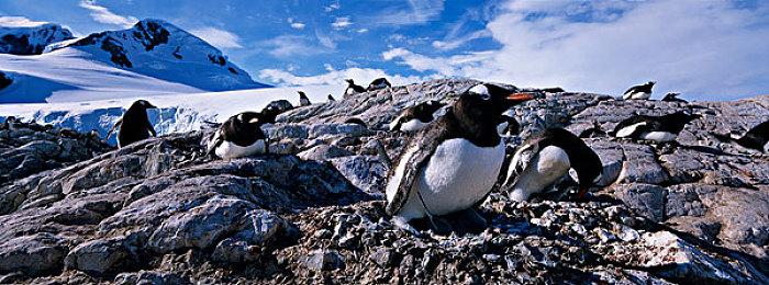 《百战天虫》系列开发商Team 17将裁员50人