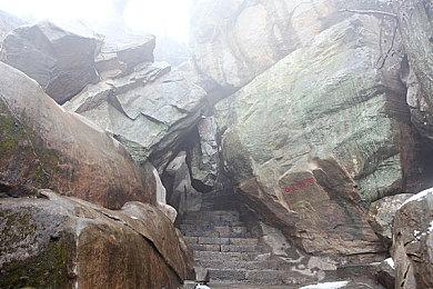 “怪兽之王”现代版《怪兽黎明》公布 新预告片分享